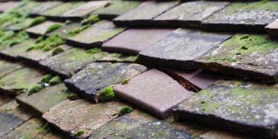 Underwood roof repair costs